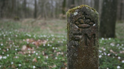 Trælborg Veerst