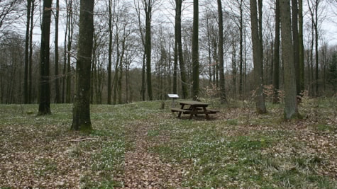 Trælborg, Veerst