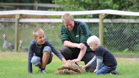 Die Schildkröte im Glad Zoo wird ausgestrahlt