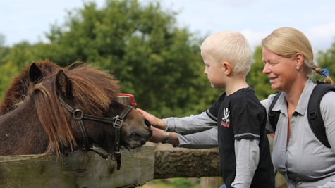 Get close to the animals at the Happy Zoo