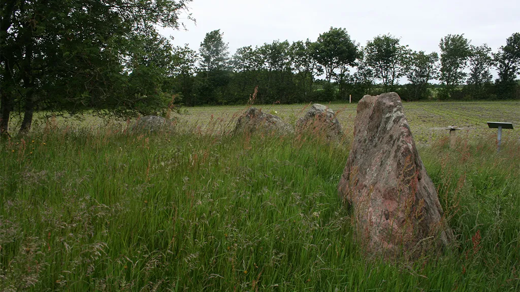 Longe dolmen, Vittrup