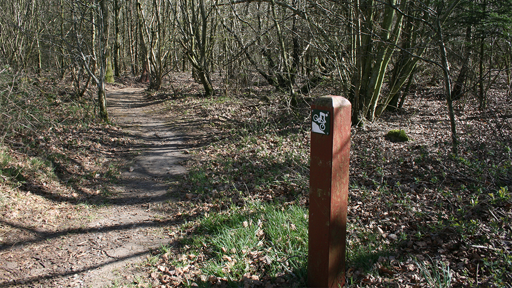 MTB-route in Stursbøl Plantage, Jels