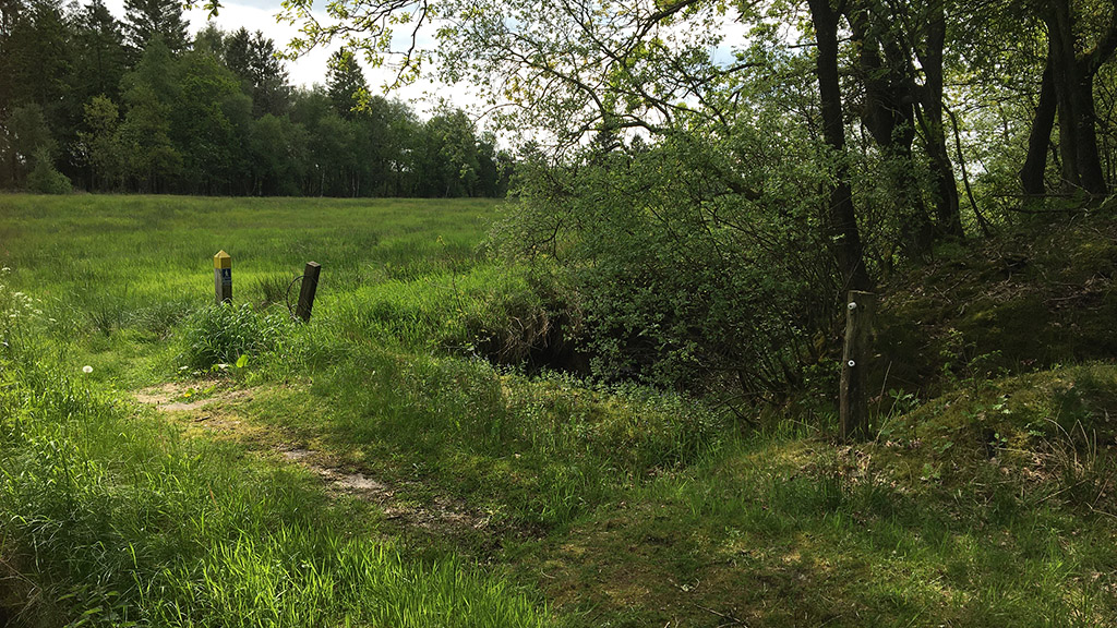 Kyst til Kyst - Jylland
