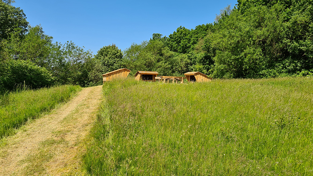 Andereden - shelterplads i Andst