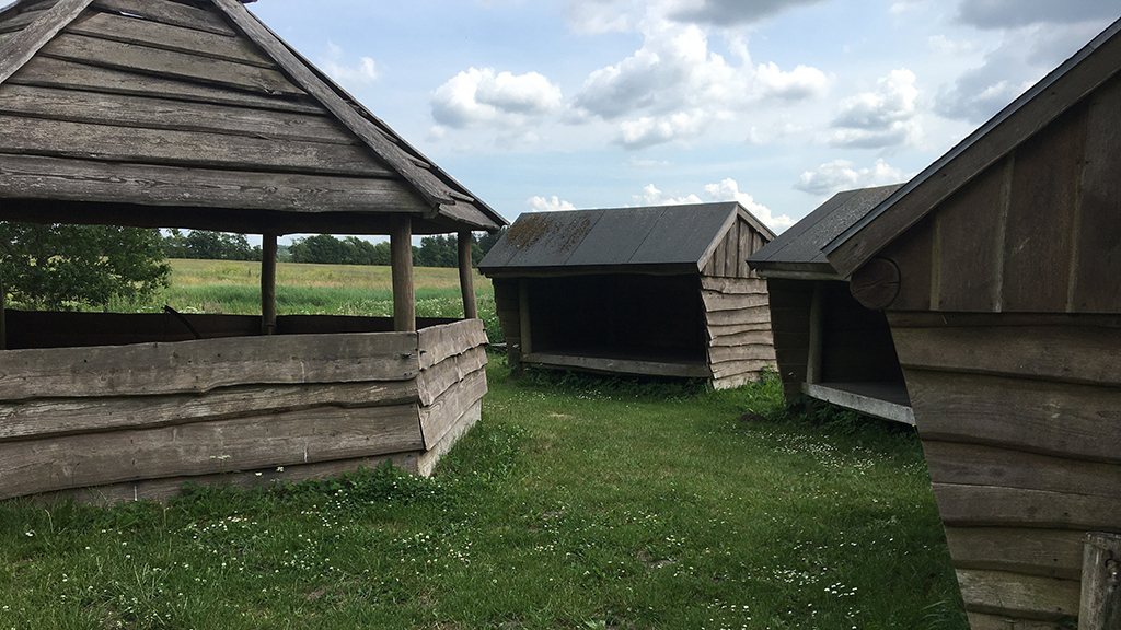Shelters og bålhytte ved Assersbølgård