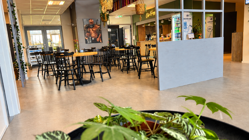 Cafe