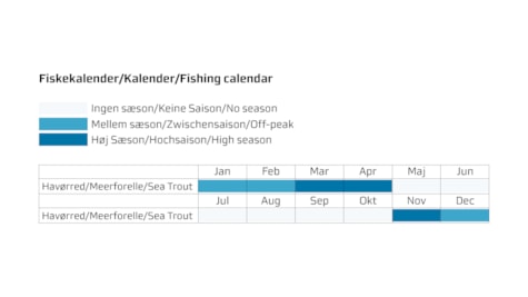 Hotel Koldingfjord Fishing calendar
