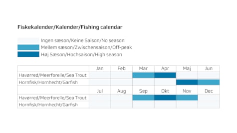 Drejens Odde Fishing Calendar