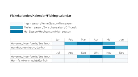 Agtrup Vig Fishing calendar