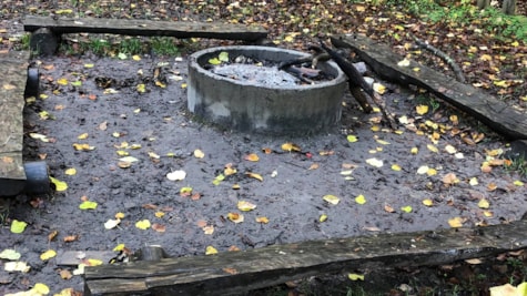 Bålplads i Marielundskoven
