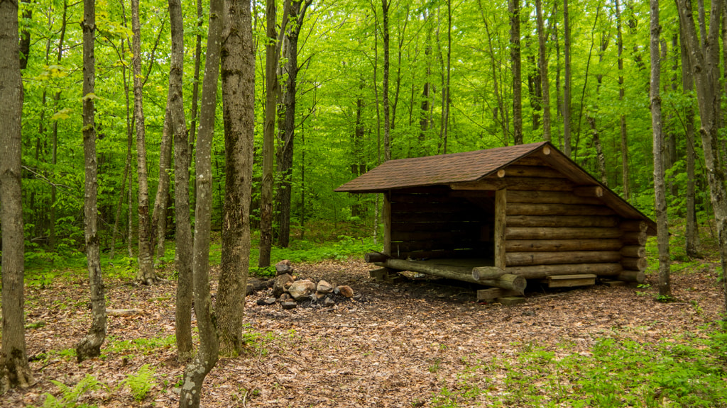 Лес источник. Картинки на рабочий Shelter. Shelters.