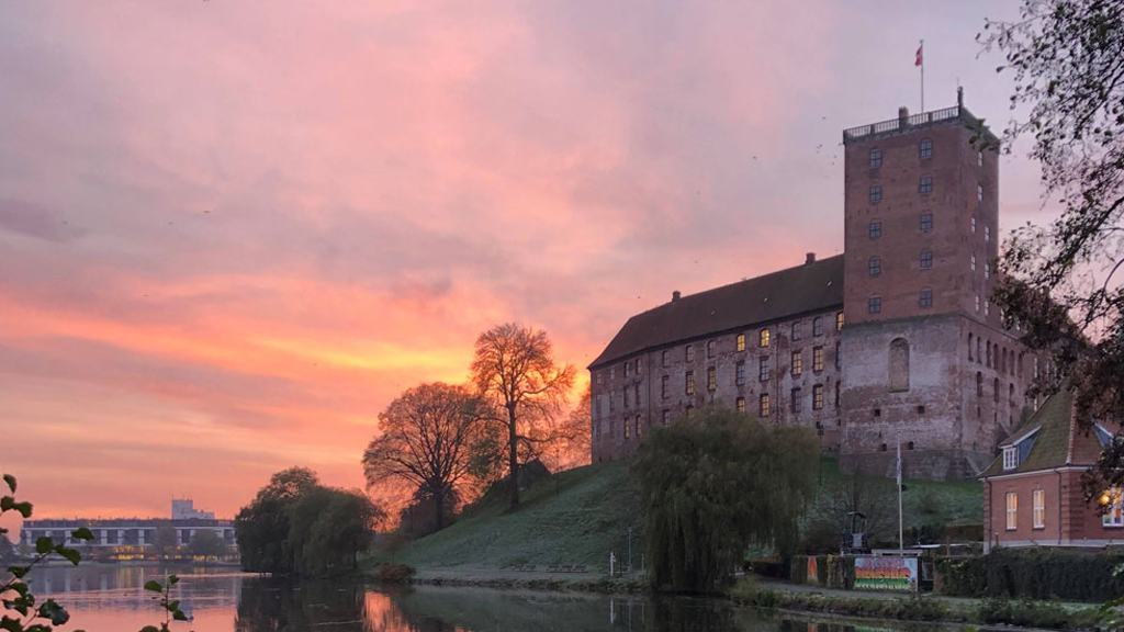 Food cellar Koldinghus - Koldinghus