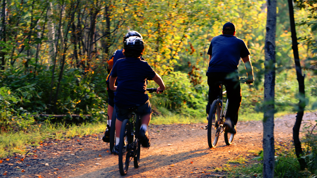 Beautiful cycle route in Kolding