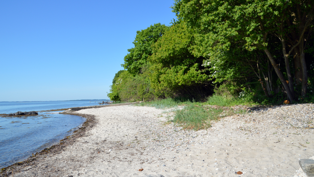 Frydenborg stranden _ Stranden