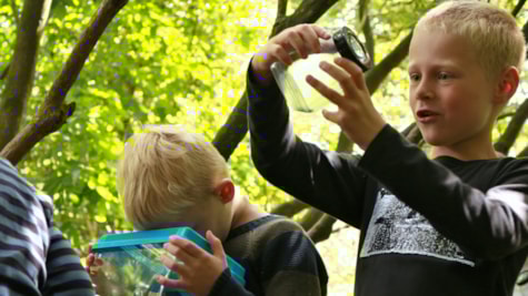 Geografisk Have Børn og insekter