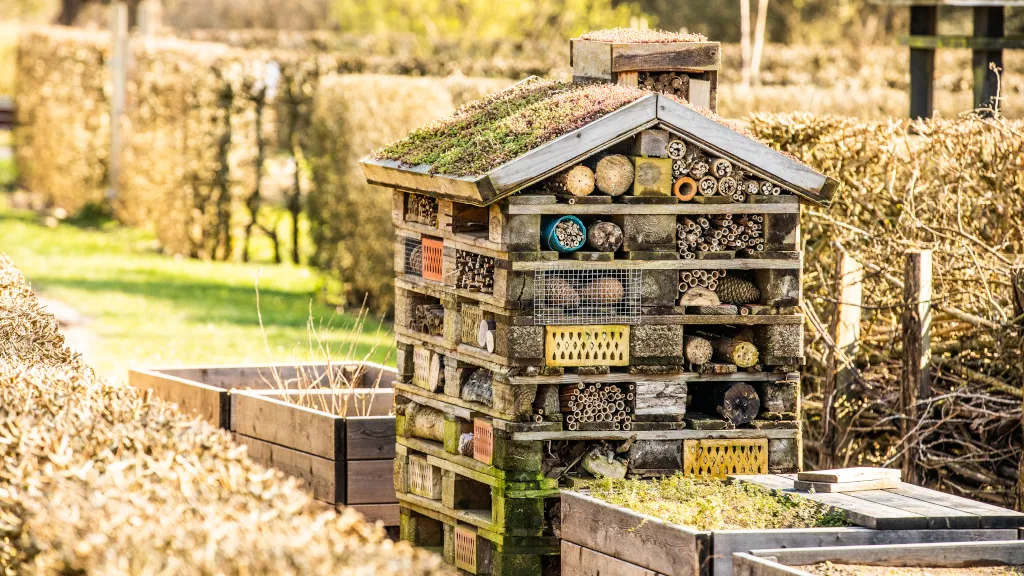 Geographical Garden _ Insect Hotel