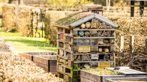 Geografisk Have _ Insekthotel