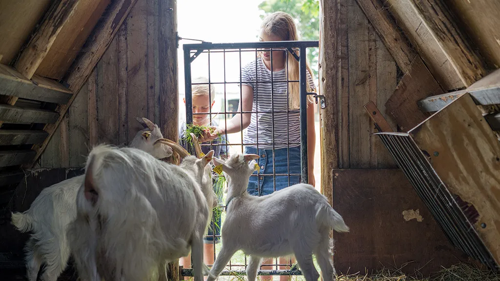 Karensminde - Children with goats