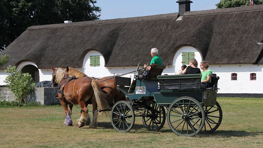 Billund Municipality's Museums - Horse-drawn carriage by farm