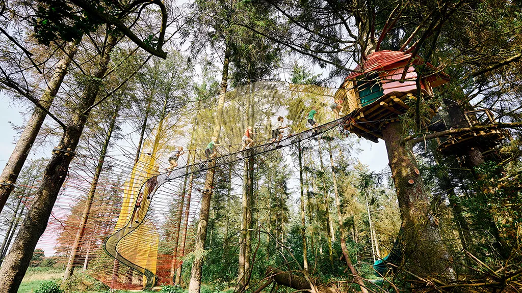 WOW PARK - Børn der klatre i forhindringer imellem træer