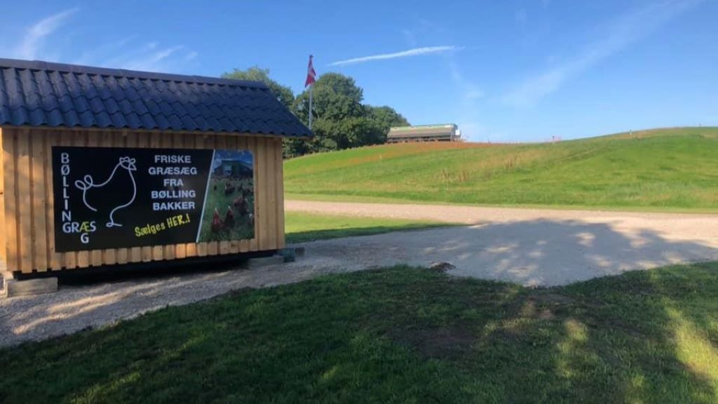 Bølling GræsÆg - Freiland-Eier, zwischen Egtved und Kolding