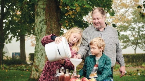 En far og hans to børn er ved at lave æblemost i den gamle have ved Museum Give