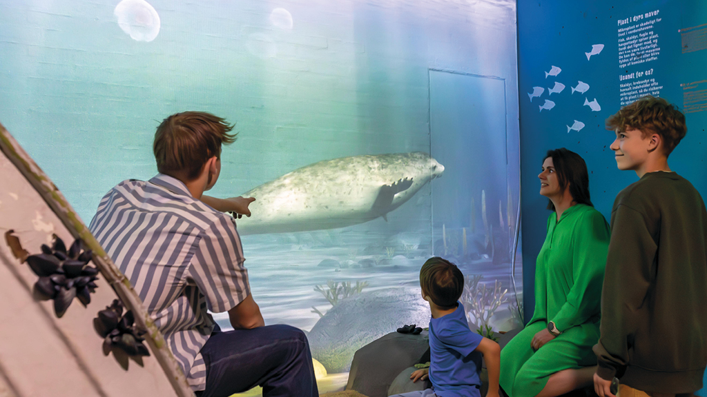Eine Familie sieht sich eine digitale Robbenprojektion im Økolariet an. Kinder und Erwachsene interagieren mit der Ausstellung, die über das Leben im Meer und Umweltthemen informiert.