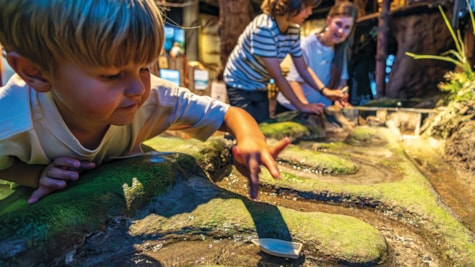Et barn udforsker en interaktiv vandinstallation på Økolariet, hvor små både kan sejles i vandstrømme. I baggrunden ses andre børn og en voksen, der deltager i oplevelsen