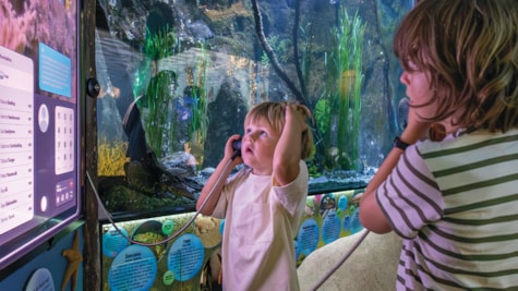 To børn udforsker en interaktiv udstilling ved et akvarium i Økolariet. De lytter til telefonrør og lærer om livet under vandet, mens planter og fisk ses i baggrunden.