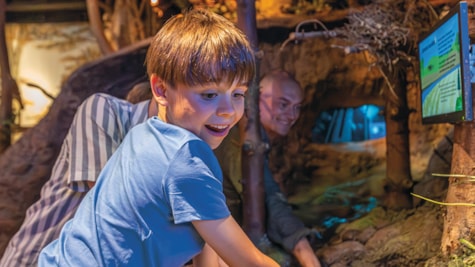 En dreng er begejstret ved at udforske, hvad der gemmer sig i jordvolden, der ligger midt i udstillingen på Økolariet.