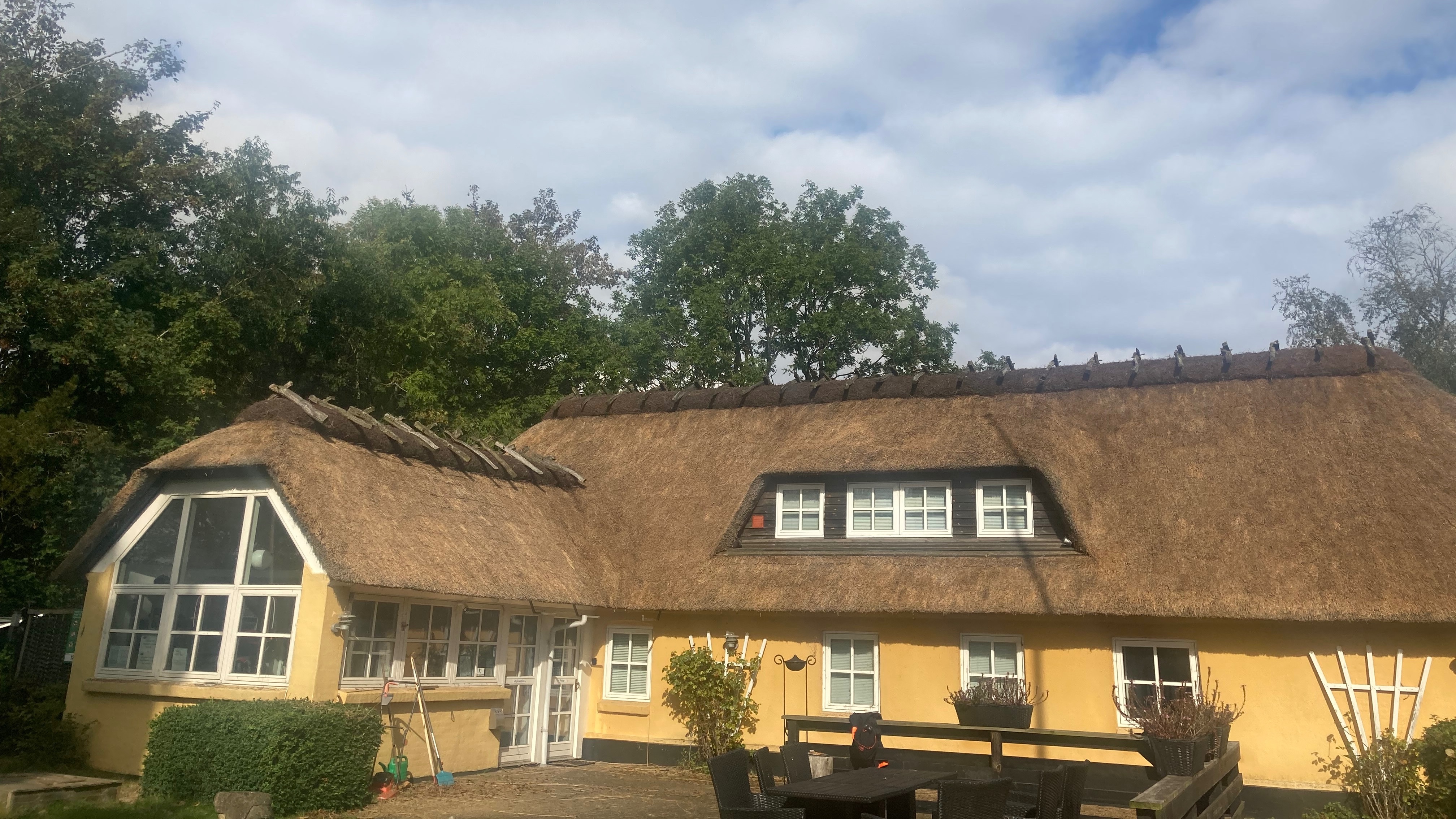 Thatched campsite house
