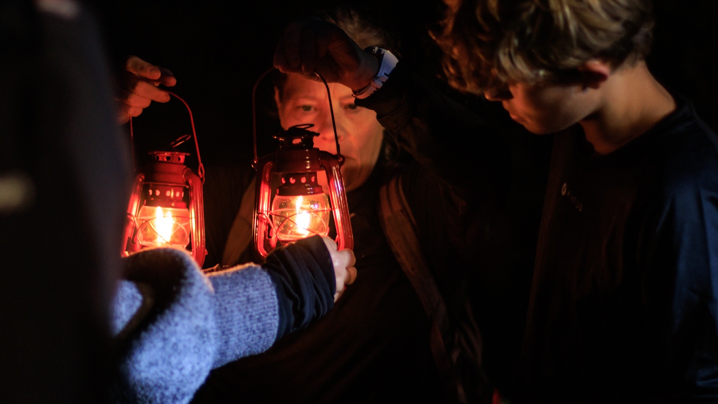 Lanterns in the dark