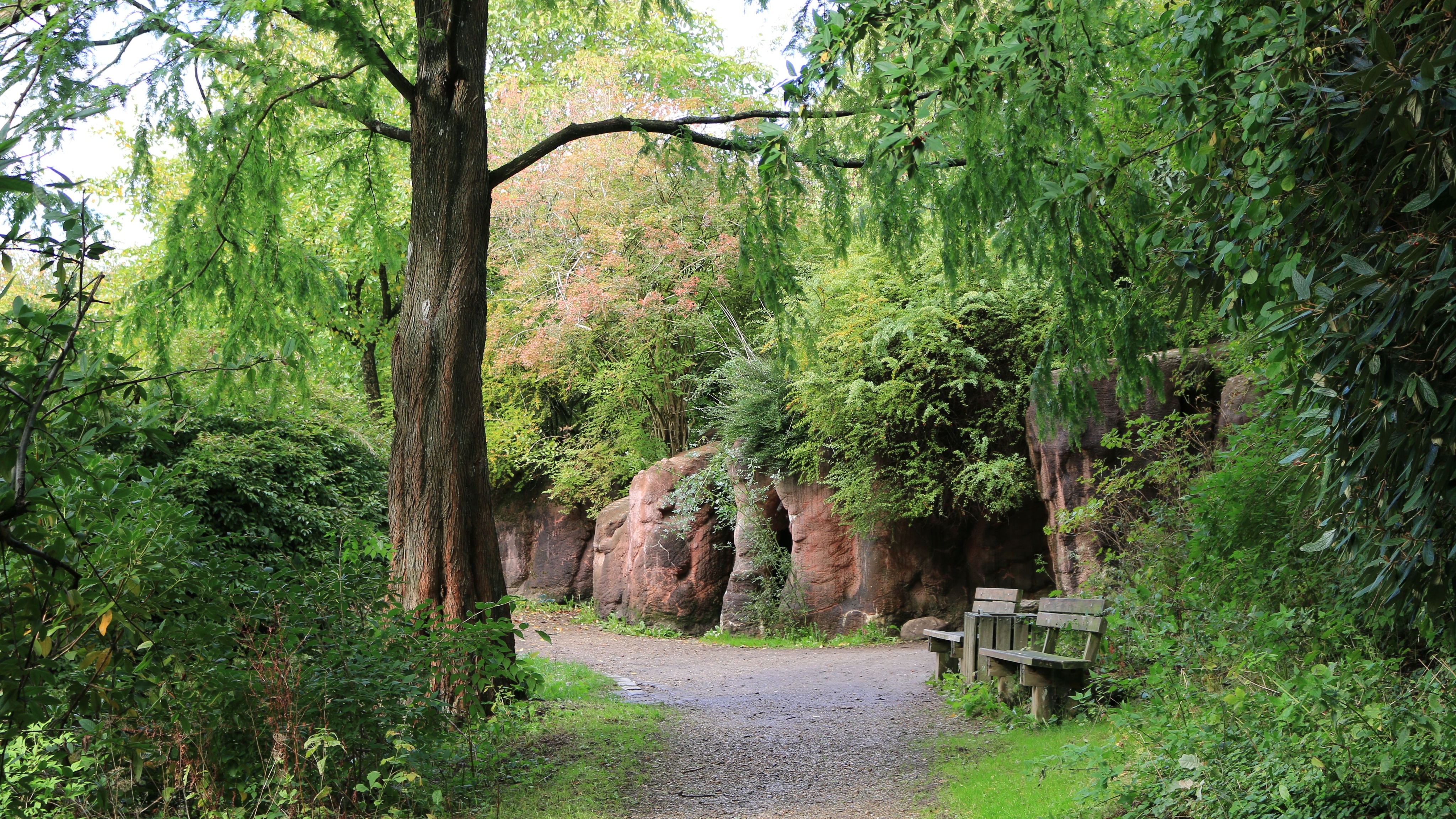 Garden path and benches