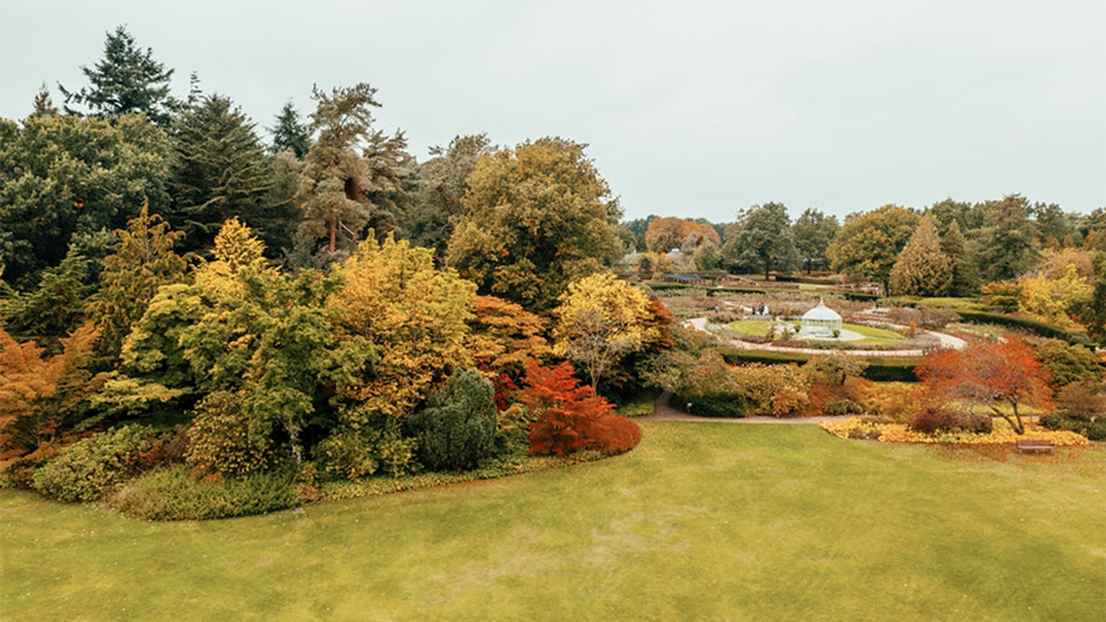 Garden in autumn colors