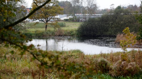 Bypark i Kolding _ sø