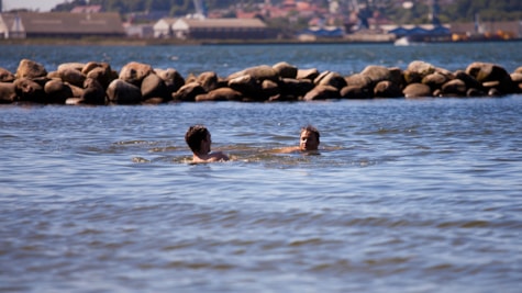 Rebæk _ People who are out swimming