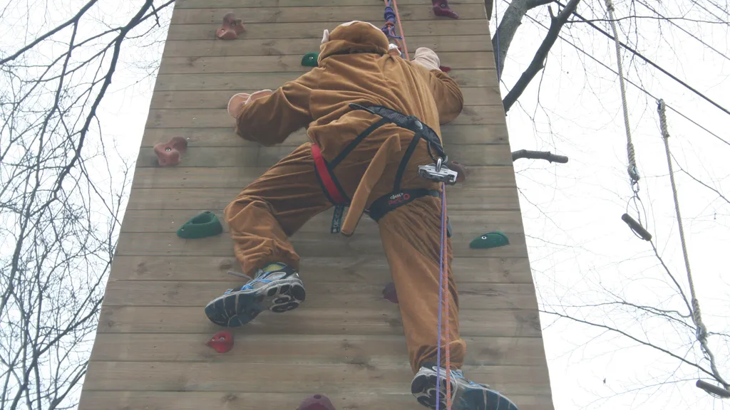 Climbing wall Funky Monkey park in Kolding