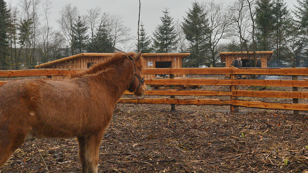 Hodsager Plantage shelter site