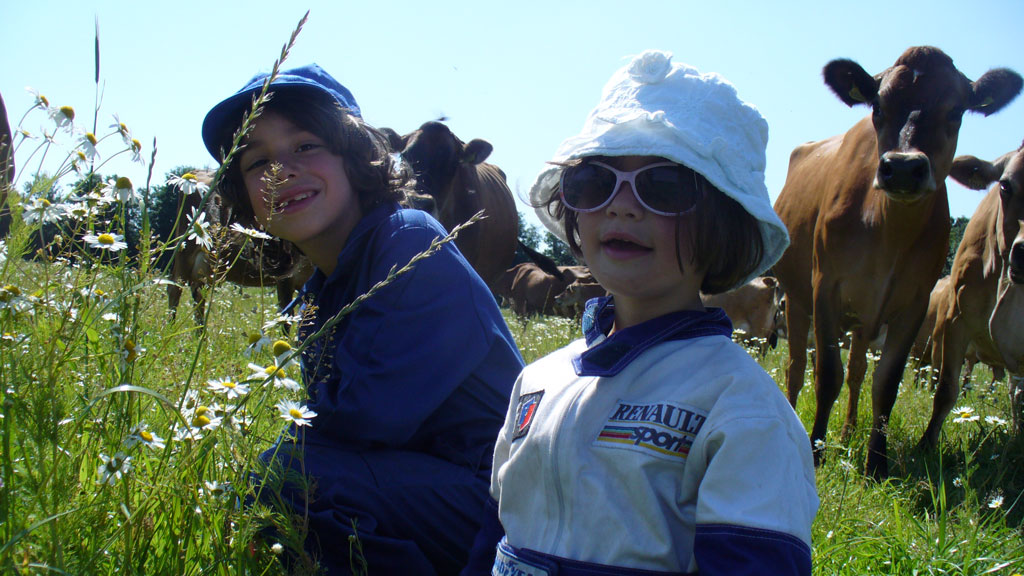 Gyvelborg Øko-camping & Gårdbutik