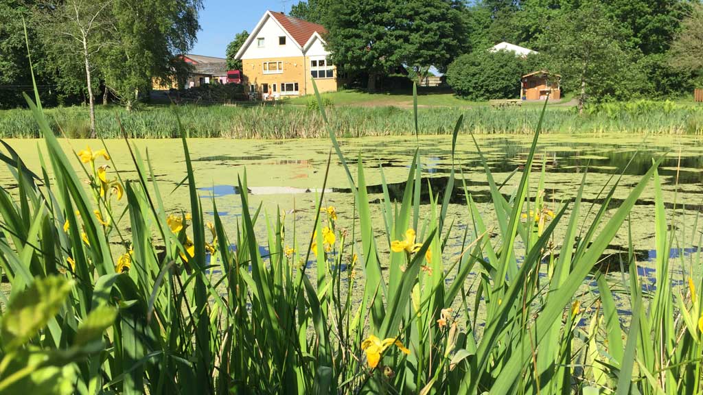 Gyvelborg Øko-camping & Gårdbutik