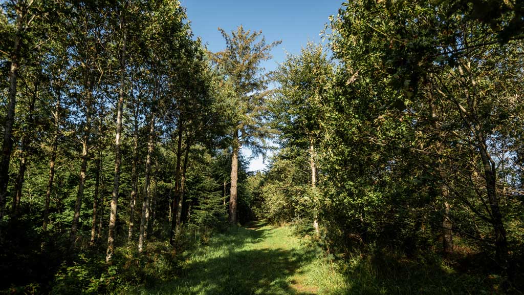 Sporet ved Ejstrupholm og Thorlund