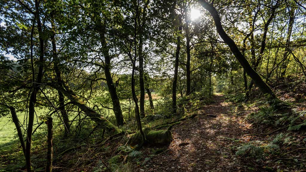 Sporet ved Ejstrupholm og Thorlund