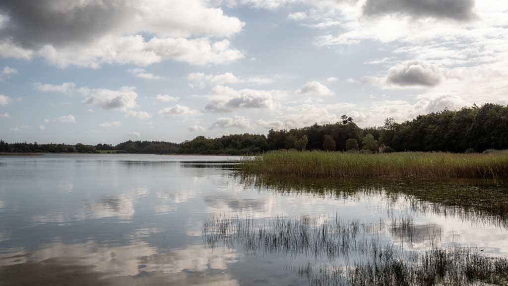 Hampen Lake and Palsgård Forest Walks