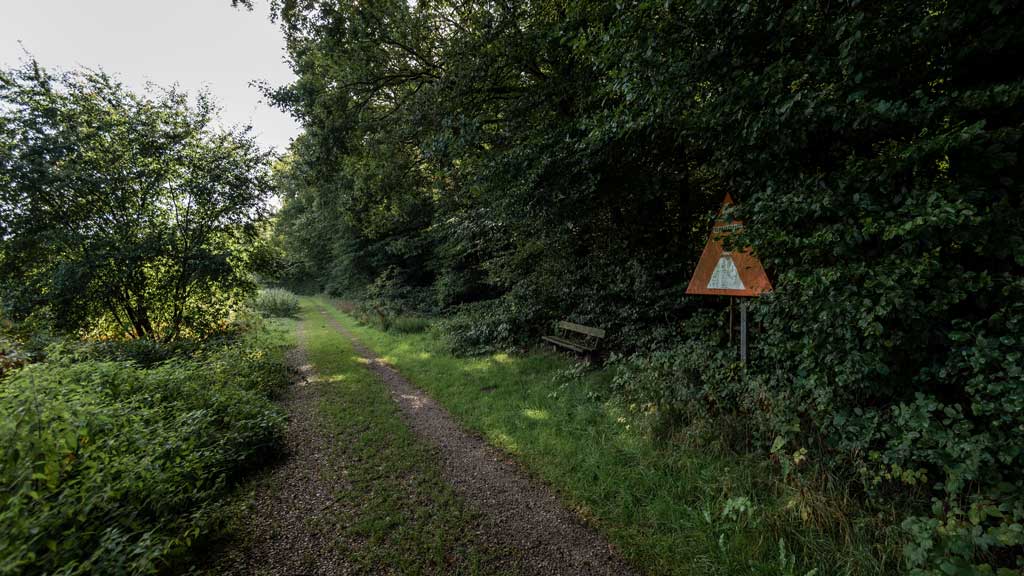 Hampen Lake and Palsgård Forest Walks
