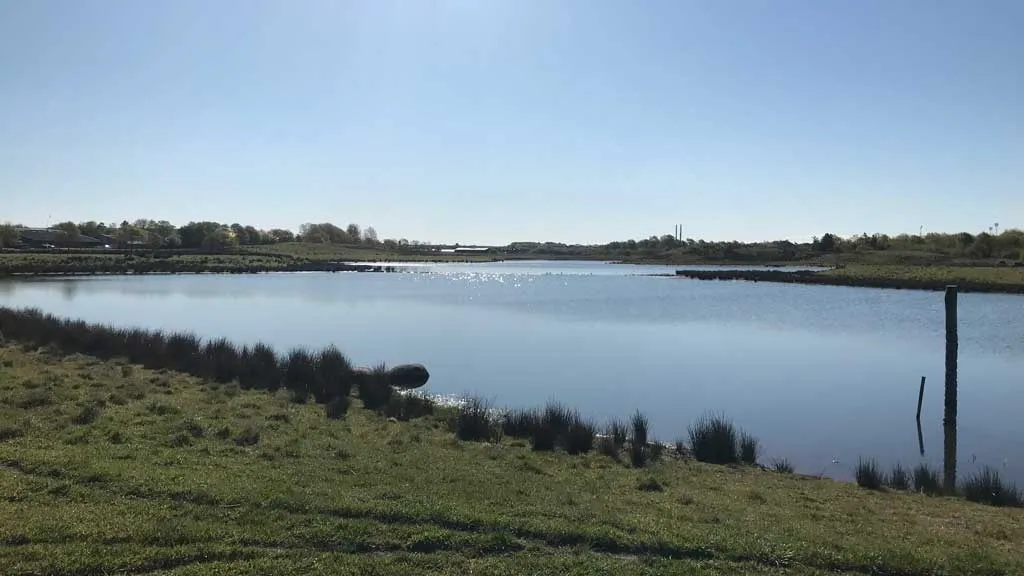 Lillelund Engpark/Hjertesti