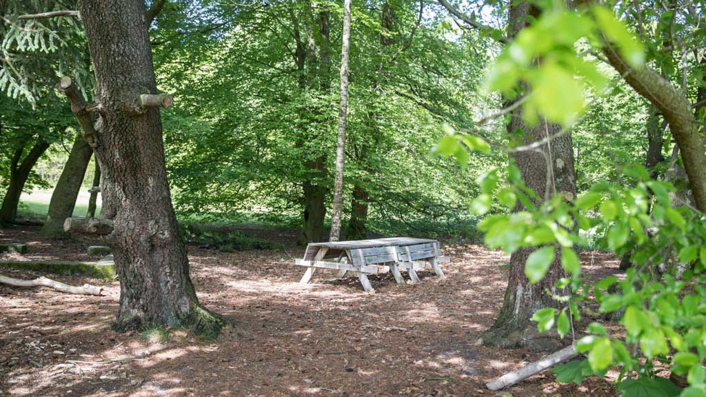 Camp Nørager, Aulum