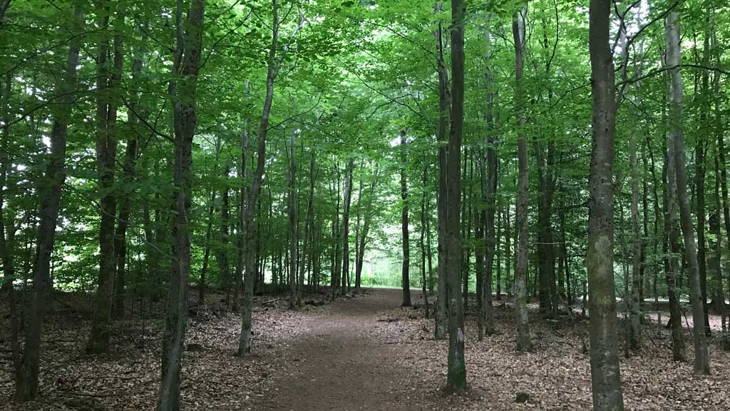 Løvbakke Solsystem og Astronomisti (Planetsti Herning)