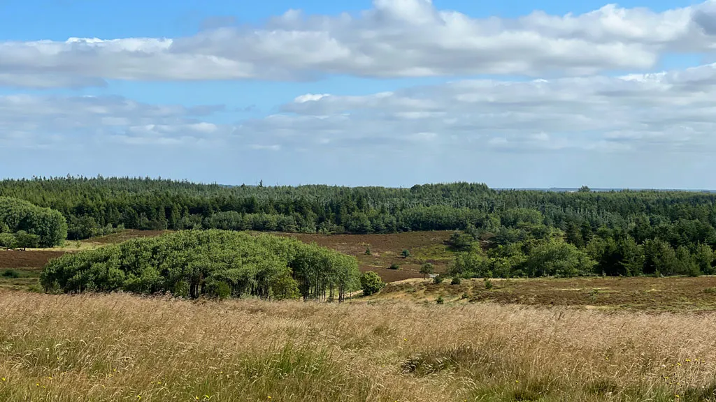 Trehøje-Bakke---Foto-Jannie-Nyegaard---1024x576-05