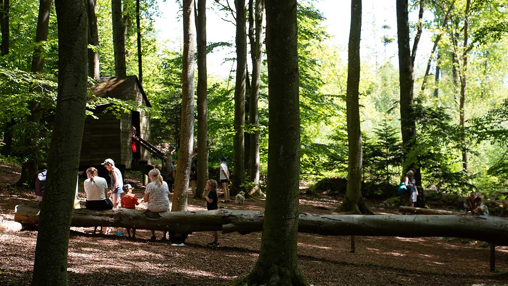 HATE - Deep Forest Art Land