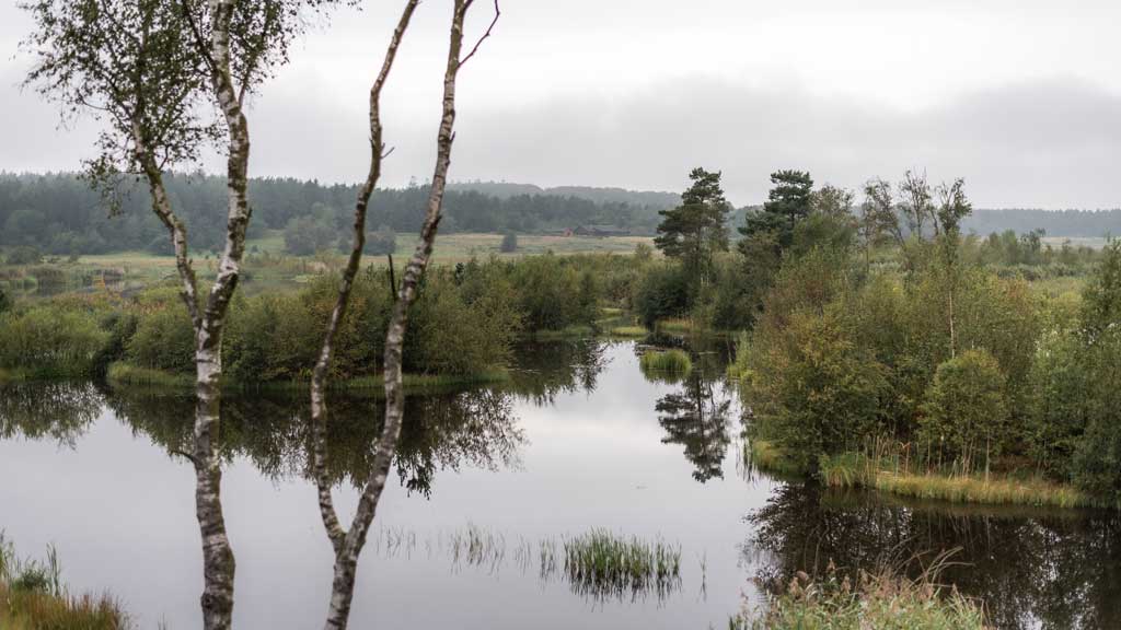 Bølling Sø